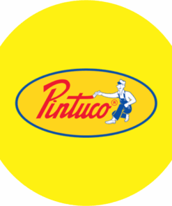 Pintuco